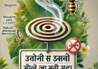 मच्छर मारने वाली धूप-कॉइल के खतरे और सुरक्षित विकल्प