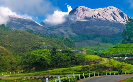 केरल यात्रा: परिवार के साथ यादगार अनुभव और 5 अद्भुत हिल स्टेशन रोड ट्रिप्स