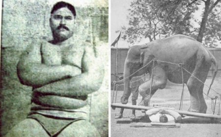 क्या आप जानते हैं? भारत के इस महान पहलवान की कहानी आपको चौंका देगी!