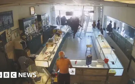More than a dozen robbers storm jewellery shop in California