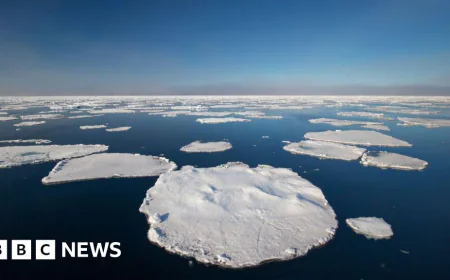 Protect Arctic from 'dangerous' climate engineering, scientists warn