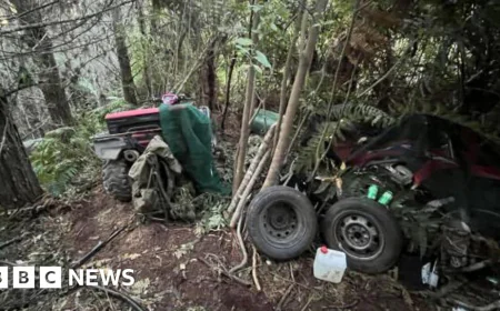 First photos of site where NZ bushman hid children released