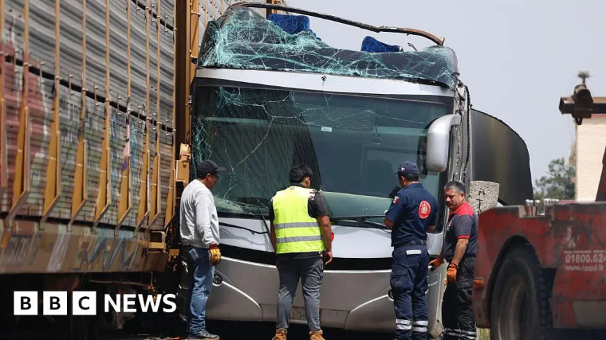 At least 10 dead after train crashes into bus in Mexico